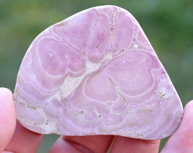 Limestone tinted by Solenopora 68 grams - Saint-Jean-d'Angély, Charente-Maritime, Nouvelle-Aquitaine, France