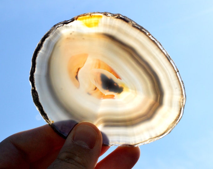 Slice - Agate 10 cm - 90 grams - Rio Grande do Sul, Brazil