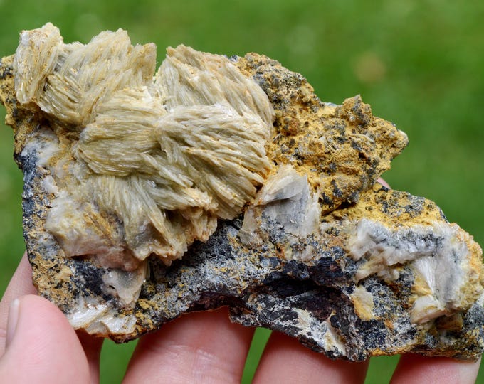 Baryte & Galena 270 grams - Le Buisson Mine, Montmirat, Saint-Étienne-du-Valdonnez, Mende, Lozère, Occitanie, France