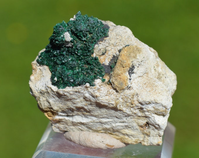 Malachite & Quartz 31 grams - Tantara Mine, Shinkolobwe, Kambove Territory, Haut-Katanga, DR Congo