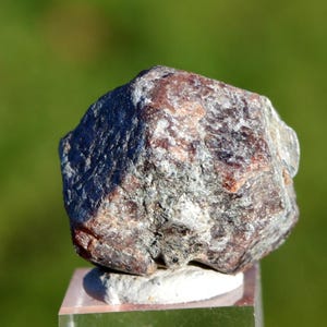 Peut inclure: Une pierre précieuse brute, de couleur brun rougeâtre avec des inclusions grises et blanches. Le minéral est présenté sur un socle rectangulaire transparent. L'arrière-plan est vert flou, suggérant un environnement extérieur.