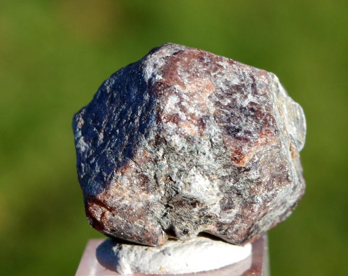 Garnet var. Andradite 23 grams - Ansignan, Prades, Pyrénées-Orientales, Occitanie, France