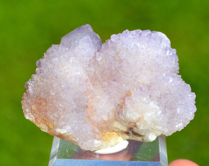 Cactus Amethyst 73 grams - Boekenhoutshoek area, Mkobola, Nkangala District, Mpumalanga, South Africa