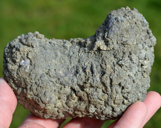 Marcasite 914 grams - Cap Blanc-Nez, Escalles, Calais, Pas-de-Calais, Hauts-de-France, France