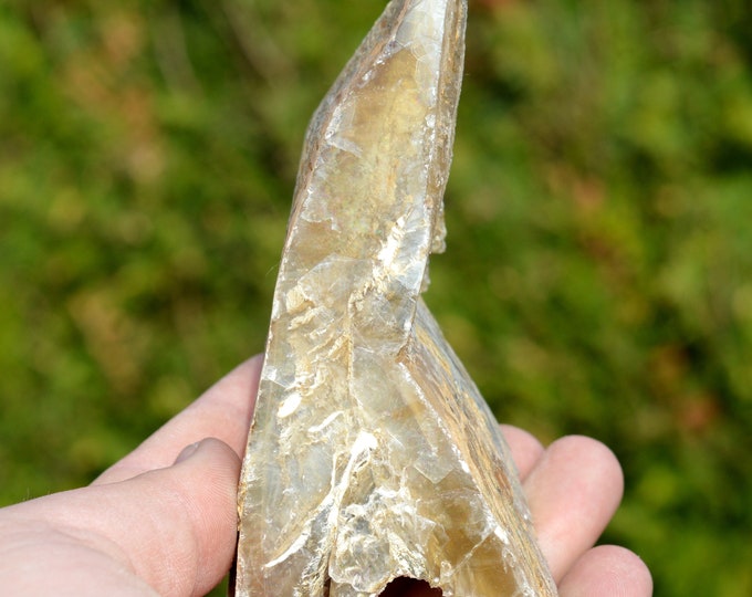 “Fer-de-lance” gypsum - 314 grams - Monthyon, Seine et Marne, France