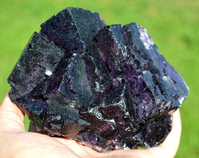 Fluorite 1550 grams - Melchor Múzquiz, Múzquiz Municipality, Coahuila, Mexico