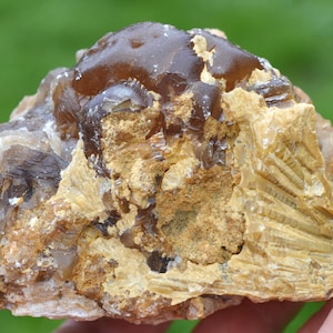 May include: A rough, natural stone with a mix of colors. The top portion is a dark, translucent brown, while the rest of the stone is a mix of tan, beige, and off-white. The stone has a textured surface and a natural, organic shape.