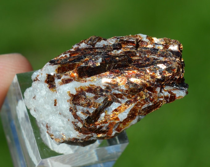 Astrophyllite 15 grams - Eveslogchorr Mt, Khibiny Massif, Kola Peninsula, Russia
