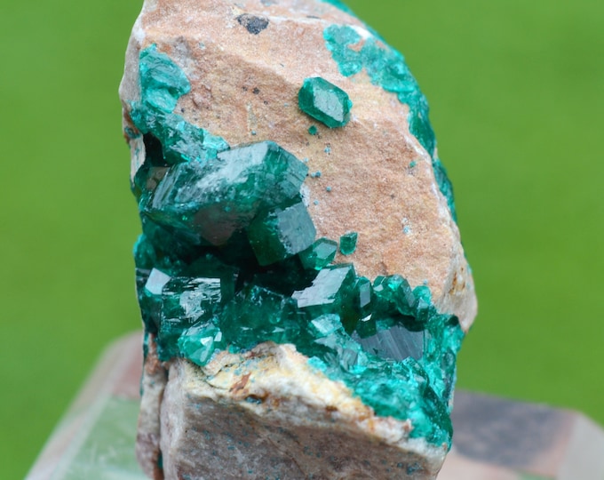 Dioptase 37 grams - Tantara Mine, Shinkolobwe, Kambove Territory, Haut-Katanga, DR Congo