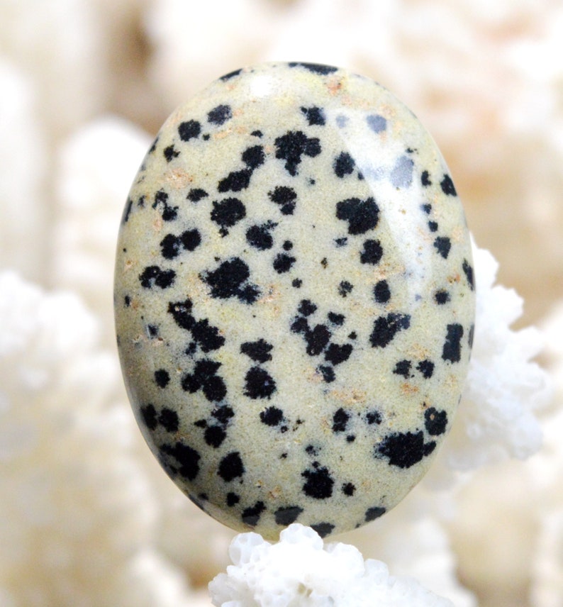 Jaspe dalmatien 37 carats Mexique REF AW15 cabochon pierre naturelle