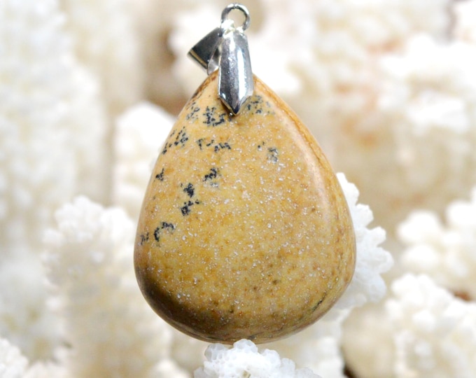 46 carat Landscape Jasper - natural stone cabochon pendant - Namibia / FD75