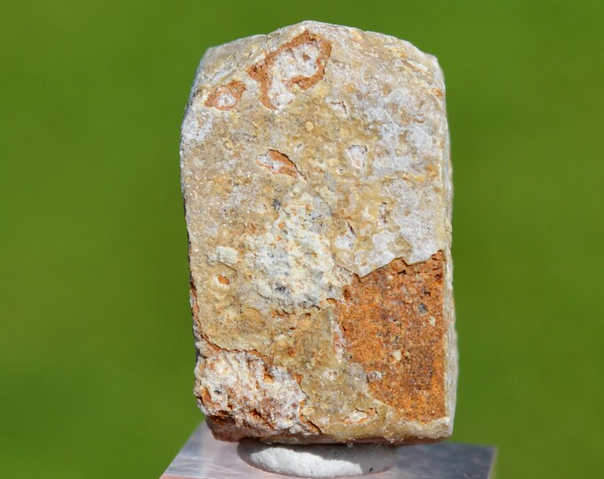 Sanidine 12 grams - Dzvegor village, Delčevo Municipality, North Macedonia