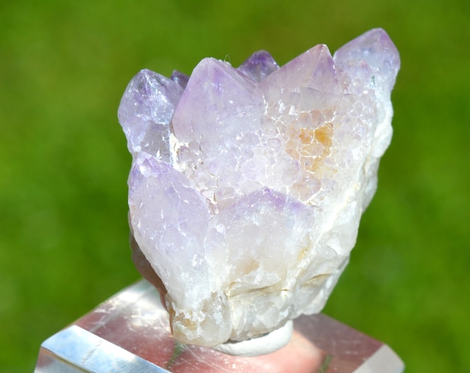 Cactus Amethyst 68 grams - Boekenhoutshoek area, Mkobola, Nkangala District, Mpumalanga, South Africa