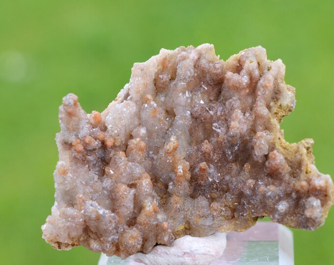 Quartz 27 grams - Sidi Rahal, El Kelaâ des Sraghna Province, Marrakesh-Safi Region, Morocco