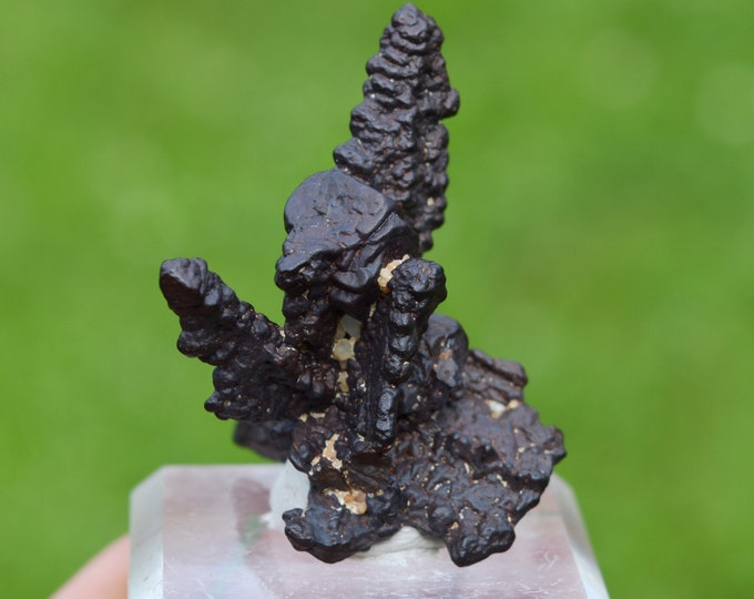Goethite pseudomorphose after Marcasite - 16 grams - White Desert, Farafra Oasis, New Valley Governorate, Egypt