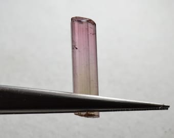 Natural terminated bicolor tourmaline, 4.96 carats