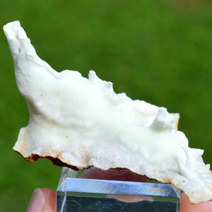 Stalactiform aragonite 46 grams - Dead Man&#39;s Mine, Altenberg, Ste Marie-aux-Mines, Colmar-Ribeauvillé, Haut-Rhin, Alsace, France