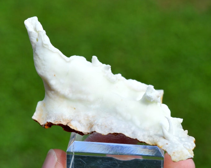 Stalactiform aragonite 46 grams - Dead Man's Mine, Altenberg, Ste Marie-aux-Mines, Colmar-Ribeauvillé, Haut-Rhin, Alsace, France
