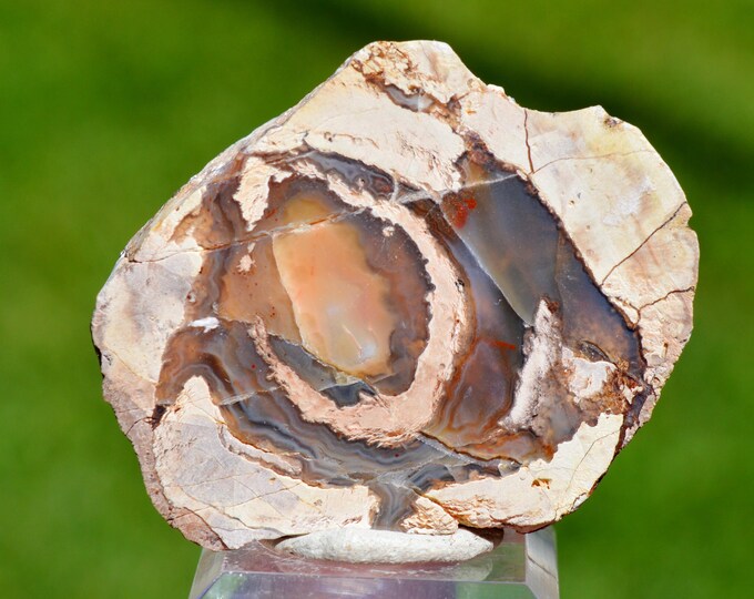 Chalcedony var. agate & Quartz "Lithophyse" 35 grams - Esterel Massif, Var, France