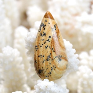 Jaspe Paysage 29 carats - cabochon pierre naturelle - Namibie / EQ18