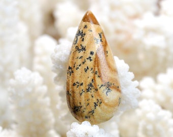 Landschapsjaspis 29 karaat - natuurstenen cabochon - Namibië / EQ18
