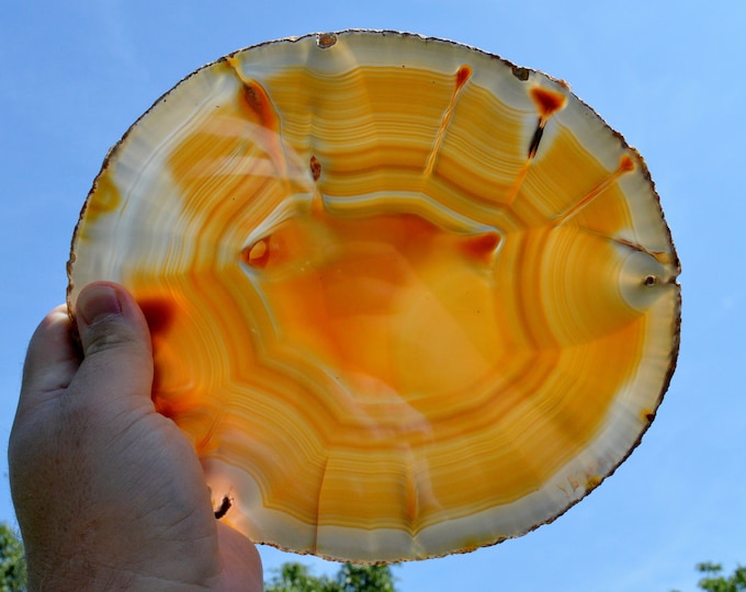 Slice - Agate 23 cm - 592 grams - Rio Grande do Sul, Brazil