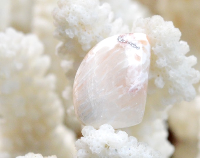 9 carat orange scolecite - natural stone cabochon - India / FC64