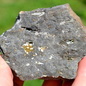 May include: A rough, irregularly shaped rock with a dark gray base color. The rock has a textured surface with small white and yellow inclusions. The rock is held in a person's hand against a blurred green background.