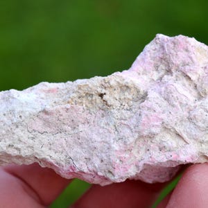 以下が含まれることがあります： 手は、生の鉱物の塊を持っています。岩は、淡いピンクとオフホワイトの色が混ざった、ざらざらした質感の表面をしています。鉱物は、ある種の石または結晶のようです。