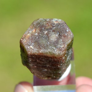 Apatita (25 gramos) - Mina Smart, propiedad de Miller, municipio de Sebastopol, condado de Renfrew, Ontario, Canadá