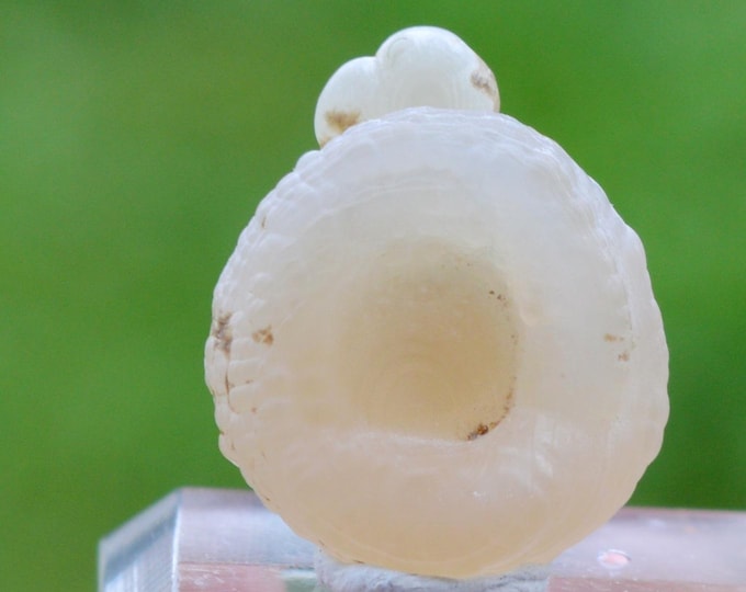 Guttular Chalcedony 3.8 grams - Aulon, Saint-Gaudens, Haute-Garonne, Occitanie, France