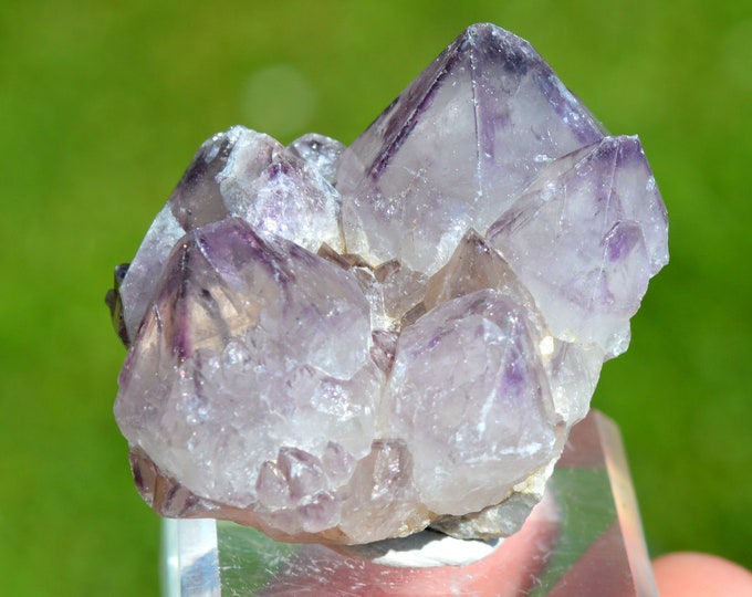 Cactus Amethyst 72 grams - Boekenhoutshoek area, Mkobola, Nkangala District, Mpumalanga, South Africa