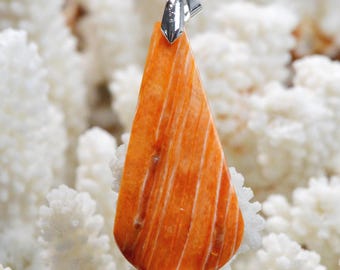 Spiny Oyster - Spondylus - 44 carats - natural shell cabochon pendant - Mexico / FR42