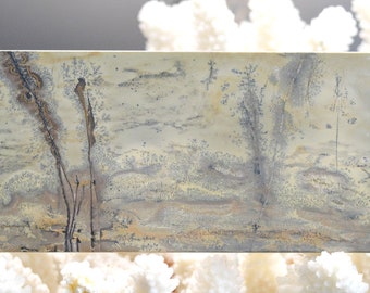 Polished slice - Landscape stone 150 mm - Guilin, Guangxi, China