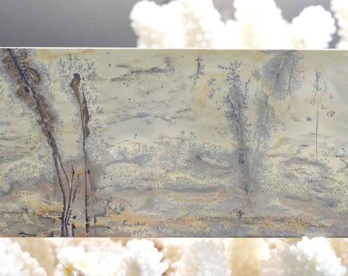 Polished Slice - Landscape Stone 150 mm - Guilin, Guangxi, China