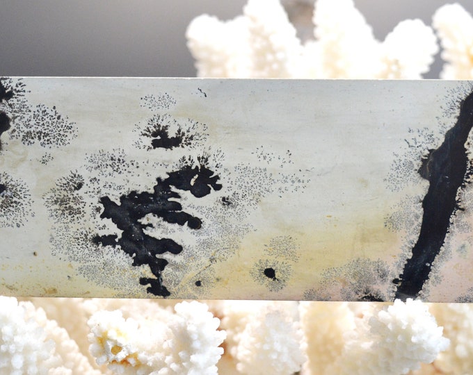 Polished Slice - Landscape Stone 154 mm - Guilin, Guangxi, China