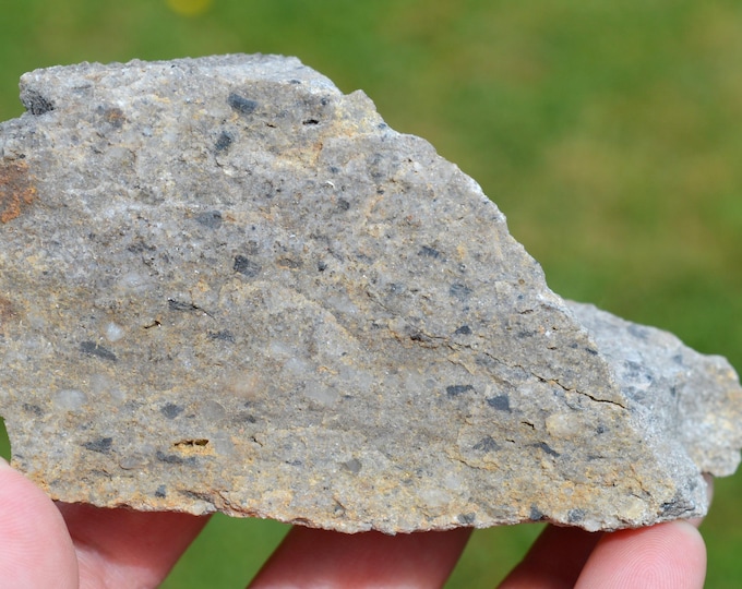 Ottrelite 231 grams - Basse-Bodeux, Trois-Ponts, Liège, Wallonia, Belgium