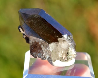 Smoky quartz 20 grams - Minstigertal (Münstigertal), Münster, Goms, Valais, Switzerland