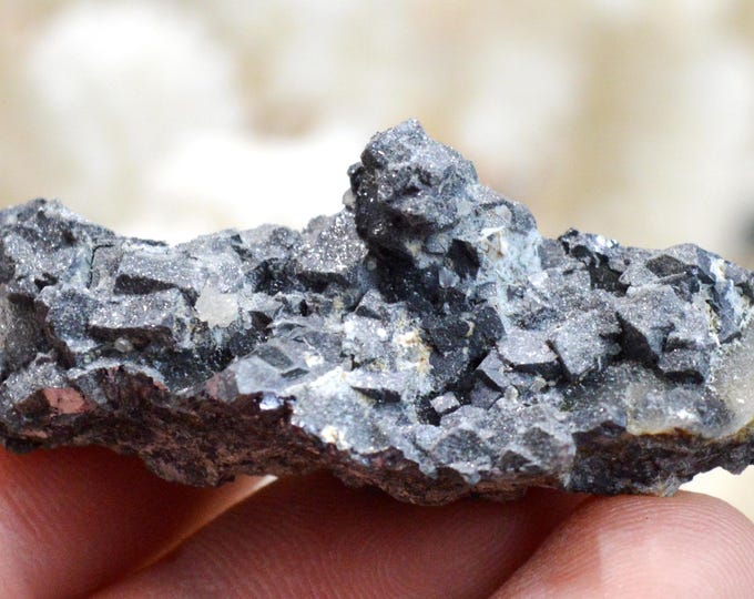 Galena & Chalcedony 38 grams - Le Buisson Mine, Montmirat, Saint-Étienne-du-Valdonnez, Mende, Lozère, Occitanie, France