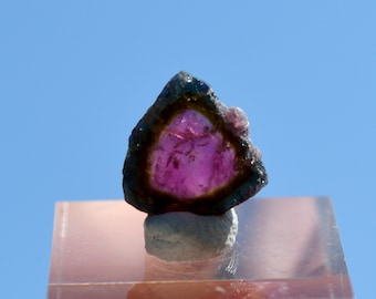 Tourmaline "Watermelon" 2.3 carats - Polished slice natural stone - Pederneira mine, São José da Safira, Minas Gerais, Brazil