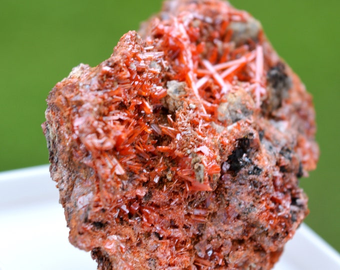Crocoite 52 grams - Dundas mineral field, Zeehan District, West Coast municipality, Tasmania, Australia