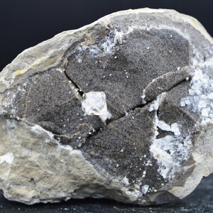 Diamantquarz auf Septarien - 493 Gramm - Rémuzat, Drôme, Frankreich