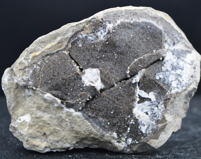Diamond quartz on septaria - 493 grams - Rémuzat, Drome, France