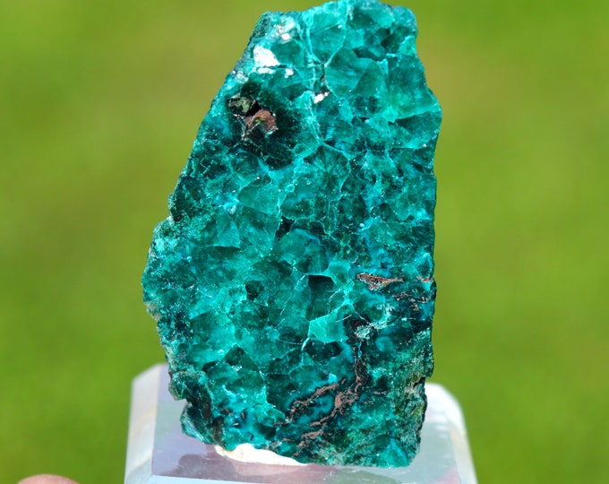Dioptase 1 polished side 54 grams - Mpita prospect, Kimbedi, Mindouli District, Pool Department, Republic of Congo (Brazzaville)
