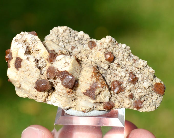 Calcite & dolomite 74 grams - Beez quarry, Namur, Namur, Wallonia, Belgium