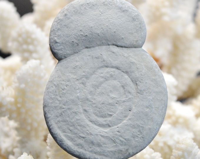 Fairy Stone - 54 grams - Harricana River, Quebec, Canada