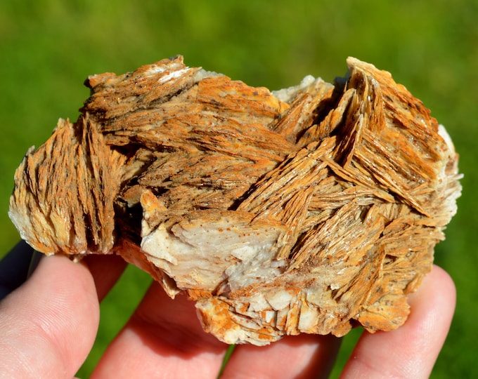 Baryte 260 grams - Les Malines District, Montdardier, Le Vigan, Gard, Occitanie, France