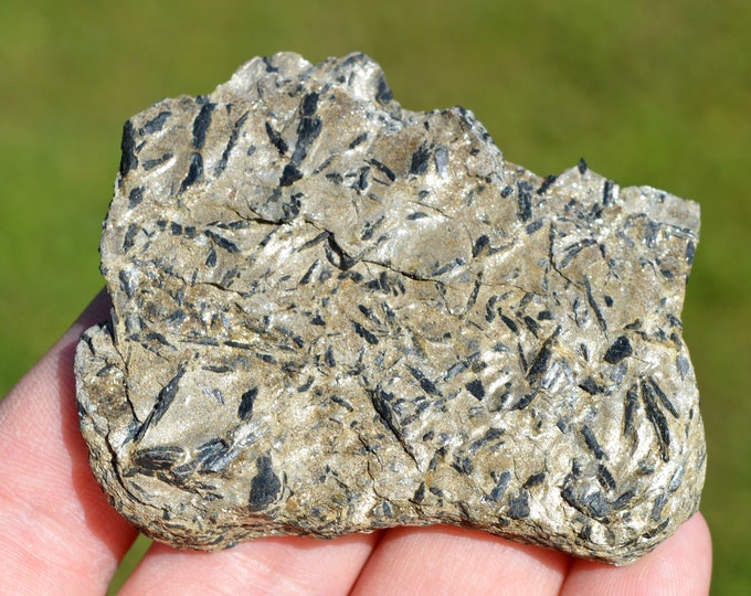 Muscovite & Schorl 47 grams - Georgetown, Sagadahoc County, Maine, USA