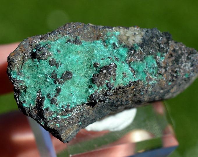 Aurichalcite 64 grams - Kütahya District, Kütahya Province, Türkiye