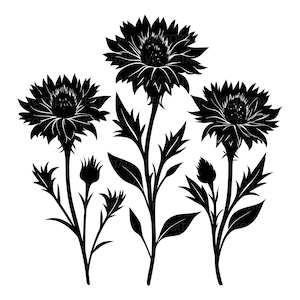 Può includere: Illustrazione floreale in bianco e nero con tre grandi fiori completamente sbocciati, con petali dettagliati e strutture centrali. L'immagine include anche due boccioli floreali e diverse foglie, il tutto in silhouette su sfondo bianco.